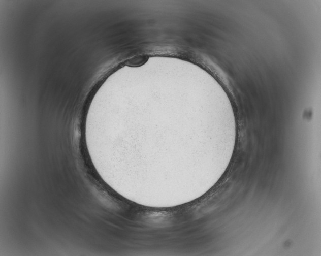 X0000116880059201001191753