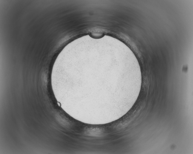 X0000116880063201001191753
