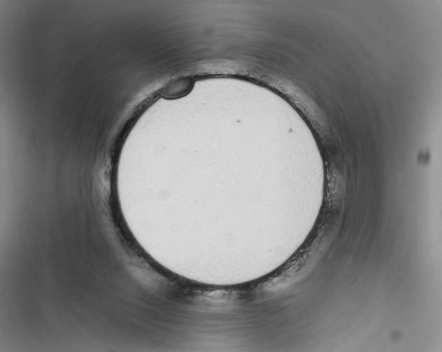 X0000116880064201001191753