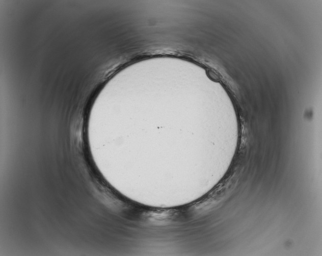 X0000116880068201001191753