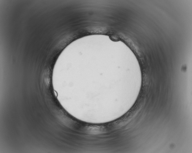 X0000116880069201001191753