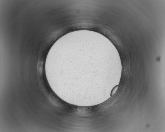 X0000116880070201001191753