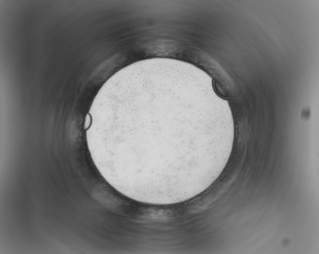 X0000116880073201001191753