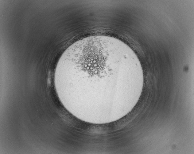 X0000116880075201001191753