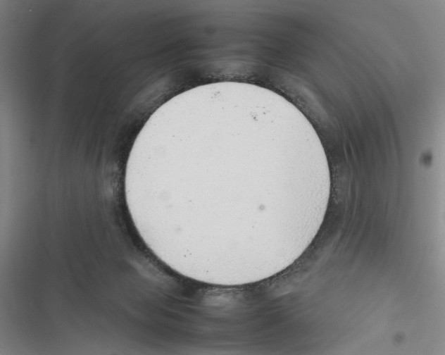 X0000116880077201001191753