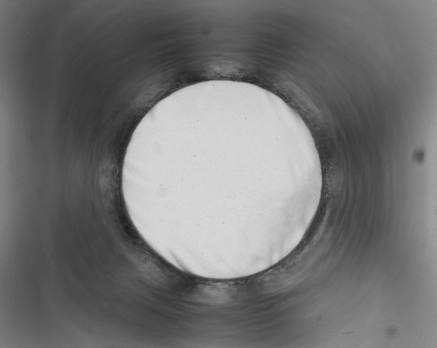 X0000116880079201001191753