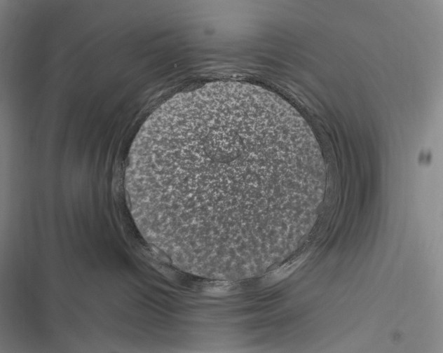 X0000116880096201001191753
