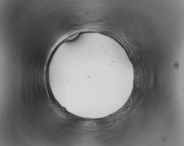 X0000116880100201001191752