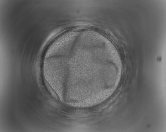 X0000116880101201001191752