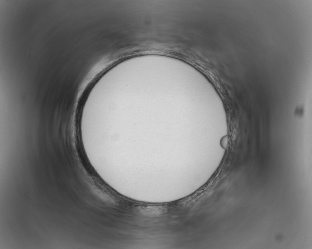 X0000116880102201001191752