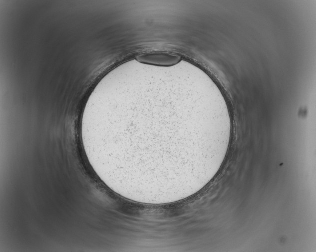 X0000116880105201001191752