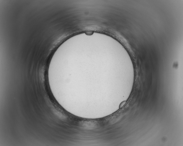 X0000116880106201001191752