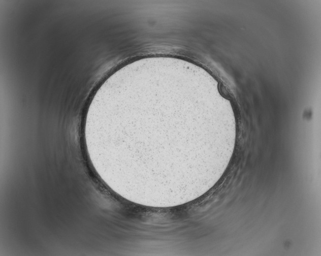 X0000116880107201001191752