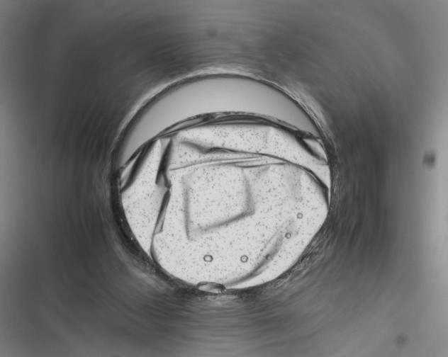 X0000116880108201001191752