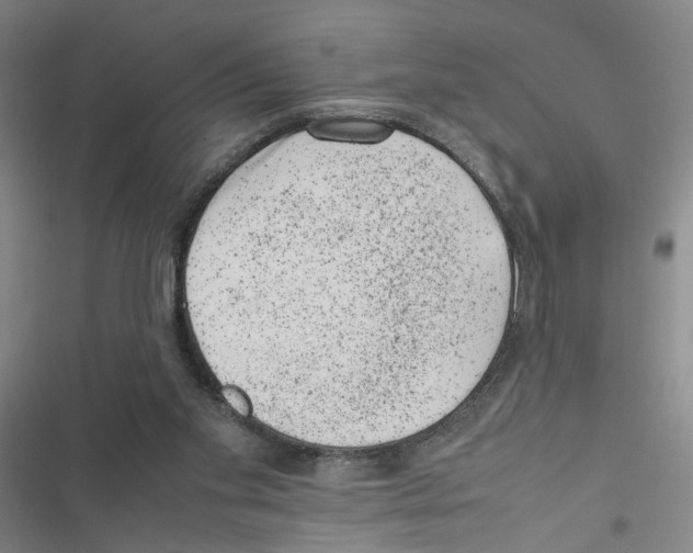 X0000116880109201001191752