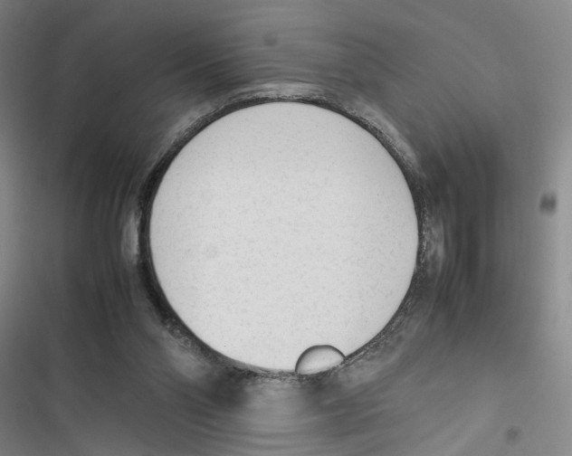 X0000116880110201001191752