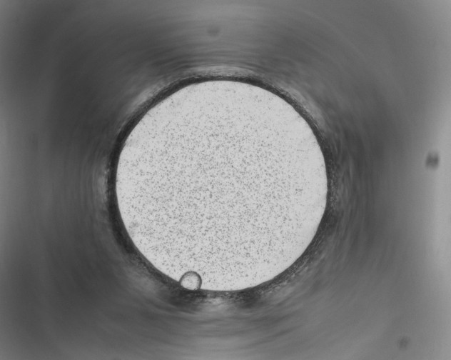 X0000116880111201001191752