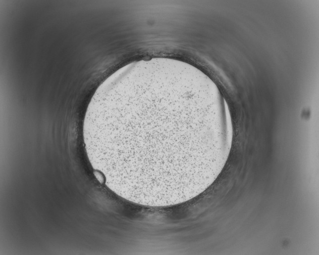 X0000116880113201001191752