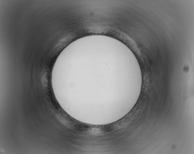 X0000116880114201001191752