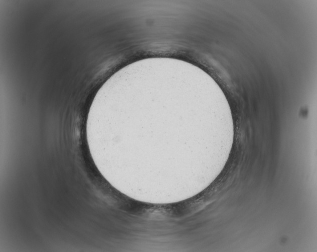 X0000116880115201001191752