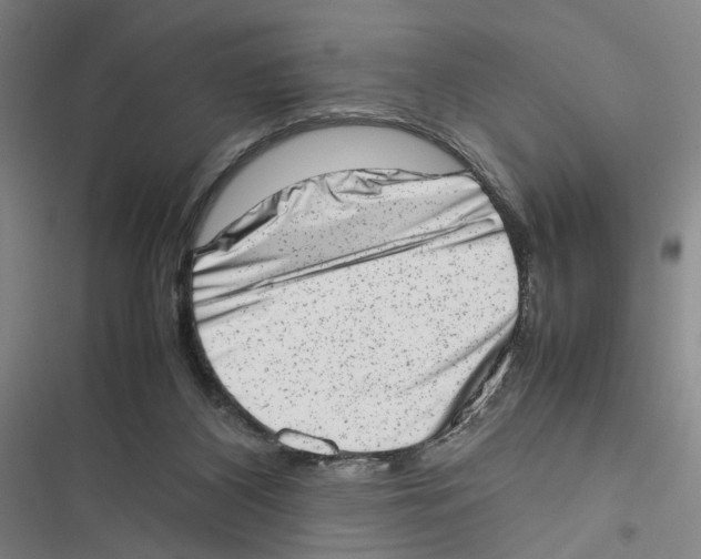 X0000116880116201001191752