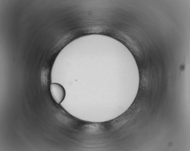 X0000116880118201001191752