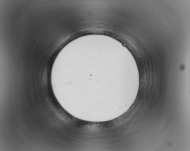X0000116880120201001191752