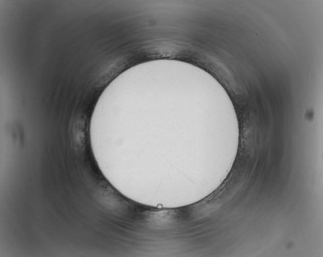 X0000116880122201001191752
