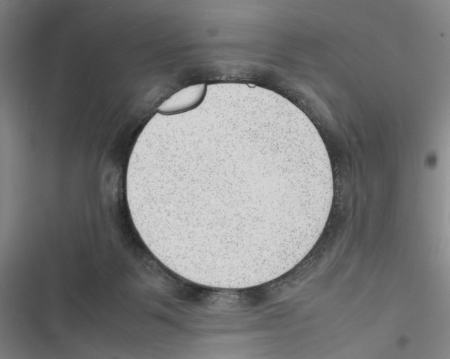 X0000116880123201001191752