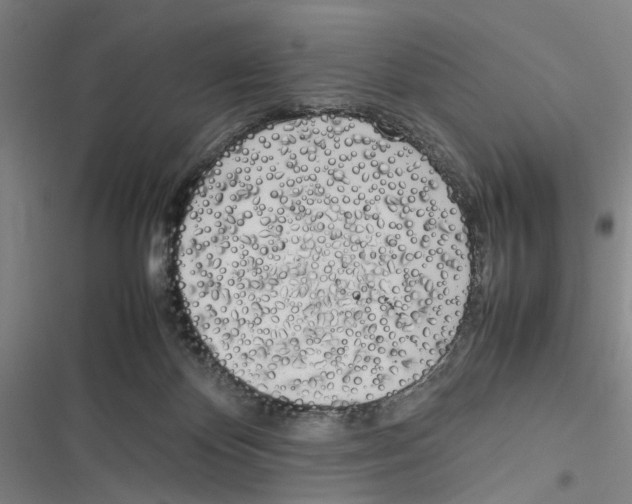 X0000116880124201001191752