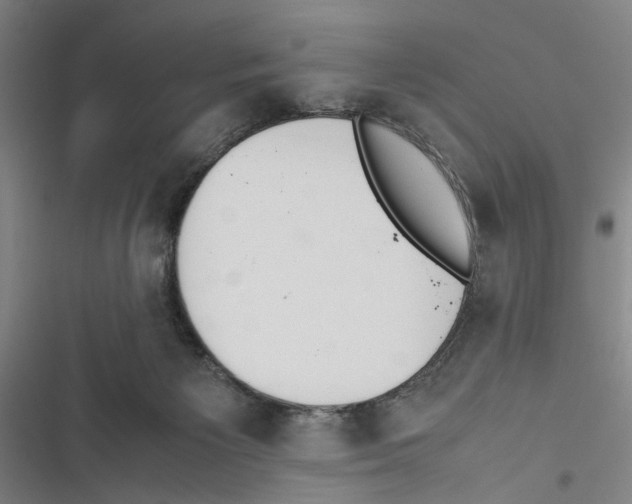 X0000116880125201001191752