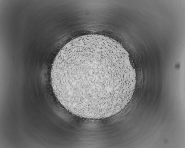 X0000116880128201001191752