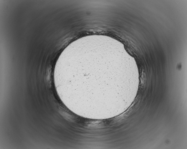 X0000116880132201001191752