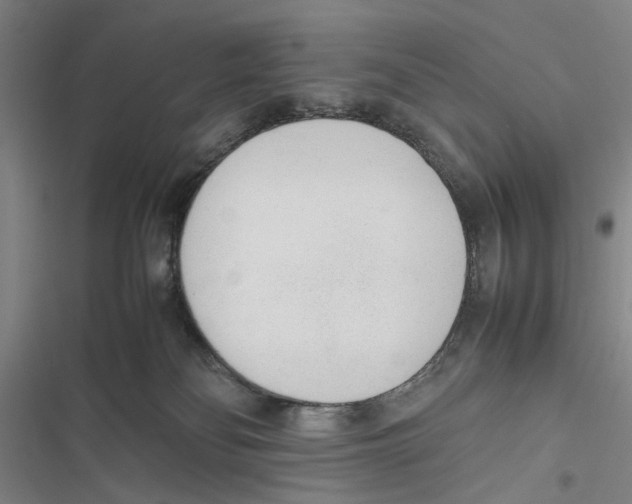 X0000116880134201001191752