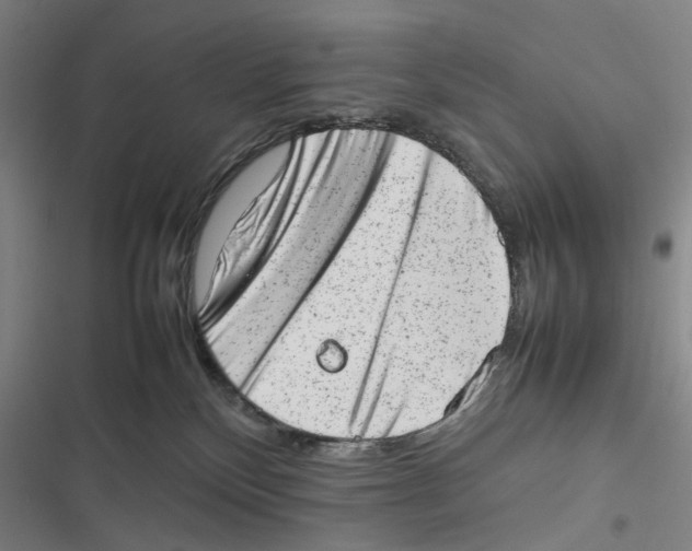 X0000116880136201001191752