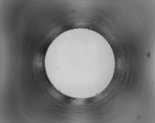 X0000116880138201001191752