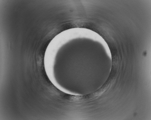 X0000116880139201001191752