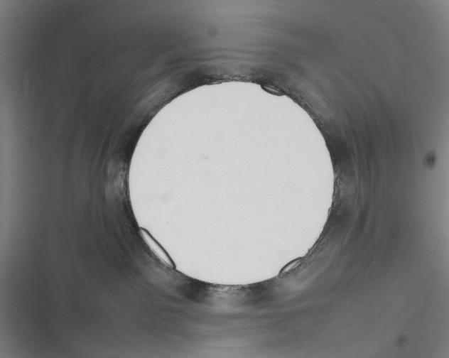 X0000116880141201001191752