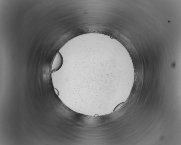 X0000116880142201001191752