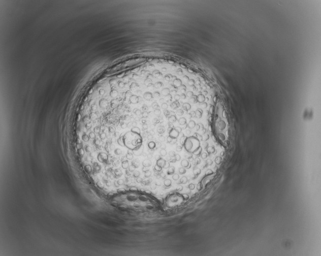 X0000116880145201001191751