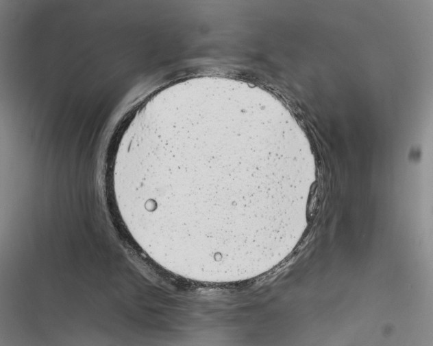 X0000116880150201001191751