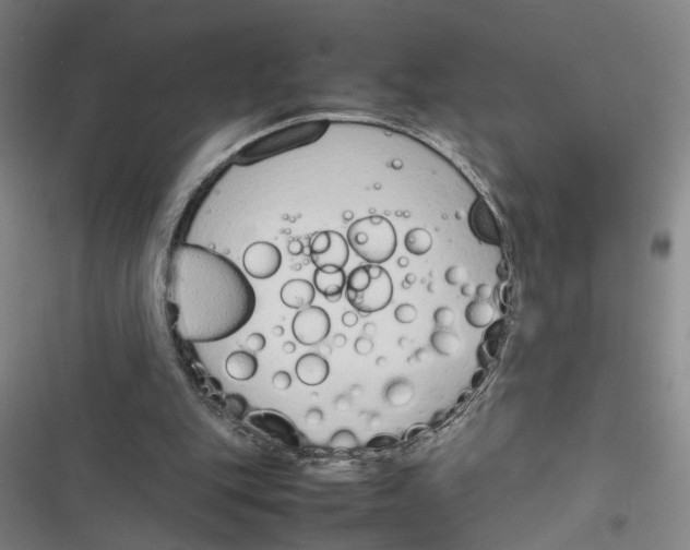 X0000116880151201001191751
