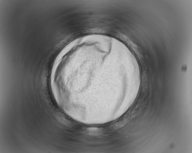 X0000116880153201001191751