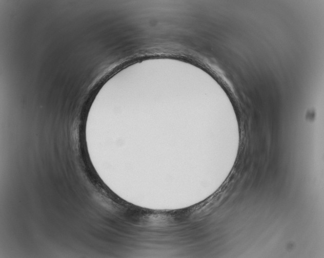 X0000116880154201001191751