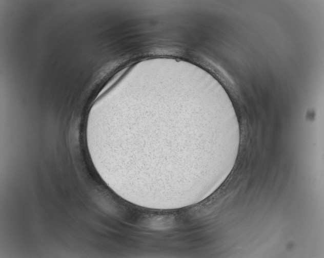 X0000116880155201001191751