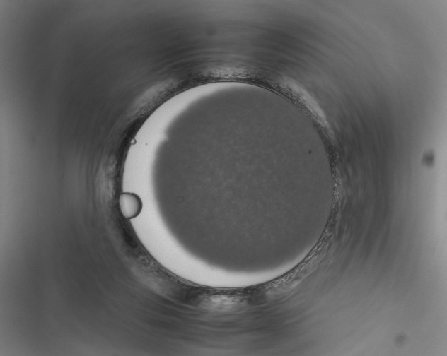 X0000116880163201001191751