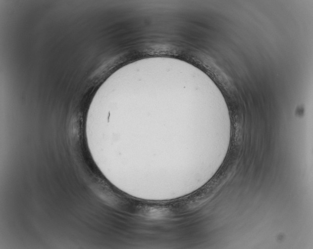 X0000116880165201001191751