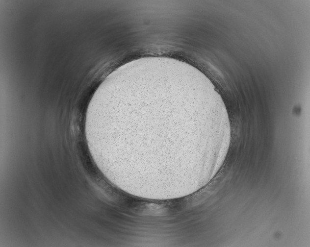 X0000116880166201001191751