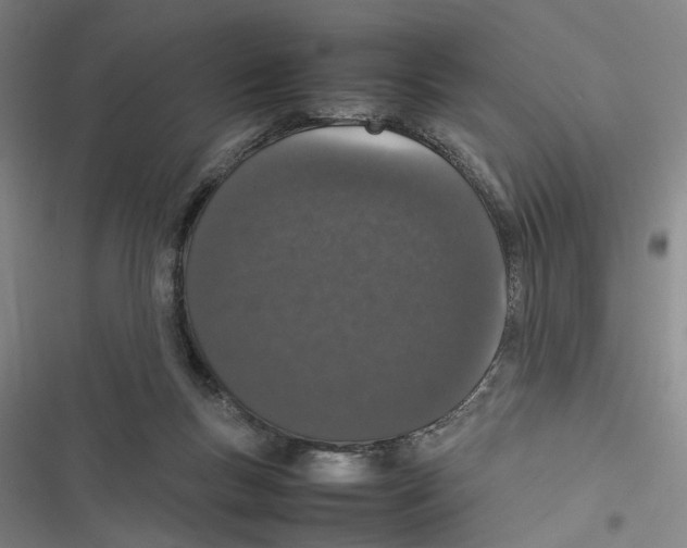 X0000116880167201001191751