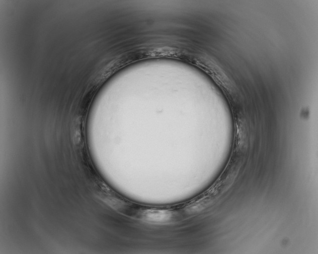 X0000116880169201001191751